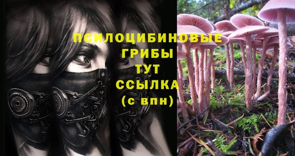 метадон Арсеньев