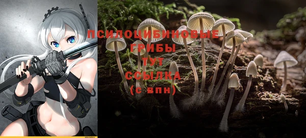 экстази Армянск